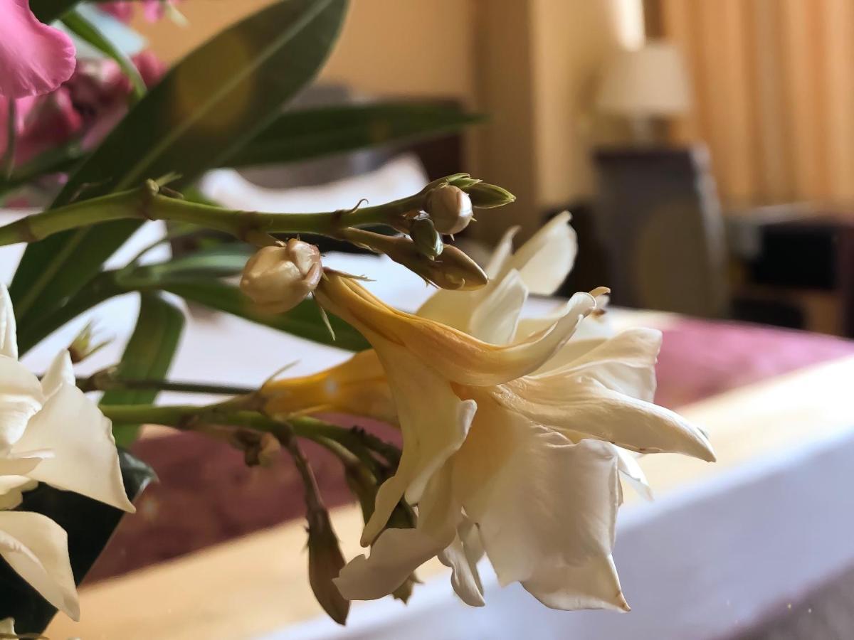 Hotel Arifi Шкодер Екстер'єр фото